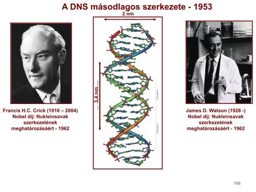 162-331 - Szerves Kémiai Tanszék