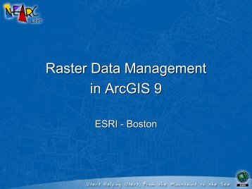 Raster datasets - Northeast Arc Users Group