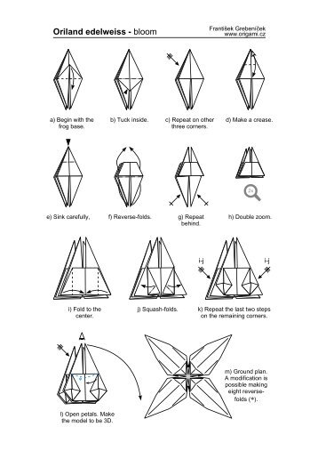 Oriland edelweiss - bloom - Origami