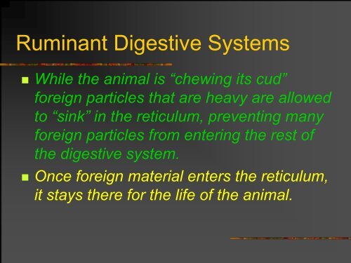 The Ruminant Digestive System