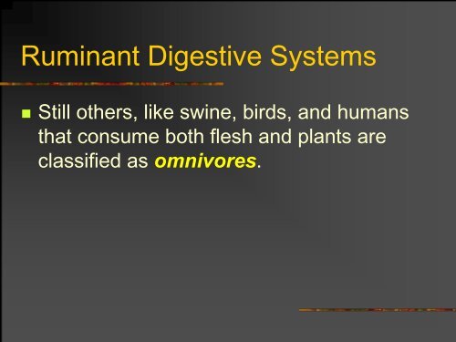 The Ruminant Digestive System