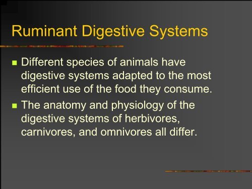 The Ruminant Digestive System