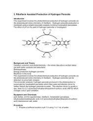 3. Riboflavin Assisted Production of Hydrogen Peroxide