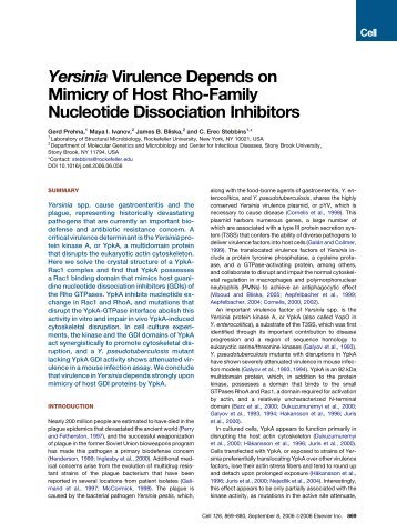 Yersinia Virulence Depends on Mimicry of Host Rho ... - ResearchGate