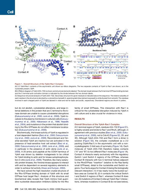 Yersinia Virulence Depends on Mimicry of Host Rho ... - ResearchGate