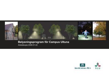 Belysningsprogram fÃ¶r Campus Ultuna - Akademiska Hus