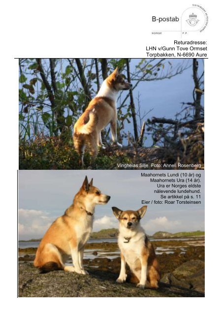 Lundehund-nytt 2/2010 - Norsk Lundehund Klubb