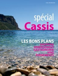 Download file - Cassis