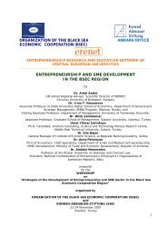 Strategies of the Development of Entrepreneurship and SME