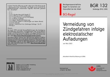 Vermeidung von Zündgefahren infolge elektrostatischer Aufladungen