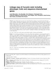 Linkage map of Cucumis melo including phenotypic traits and ...