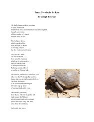 Desert Tortoise in the Rain by Joseph Bruchac
