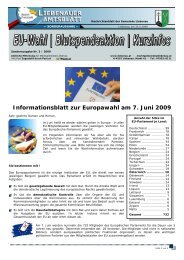 Informationsblatt zur Europawahl am 7. Juni 2009 - Liebenau