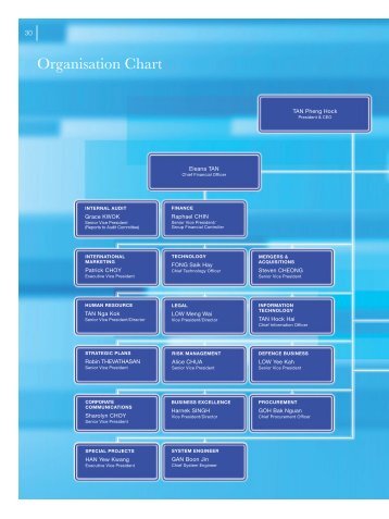 Organisation Chart - Singapore Technologies Engineering