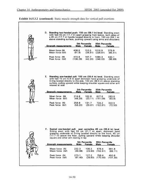 Chapter 14. Anthropometry and Biomechanics - FAA