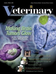 Making Brain Tumors Glow - University of Missouri - College of ...