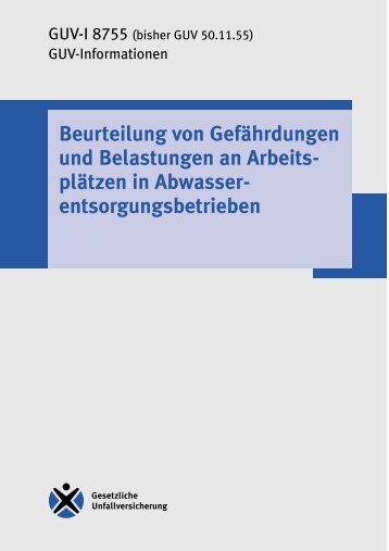 GUV-I 8755 - Beurteilung von Gefährdungen und Belastungen an ...