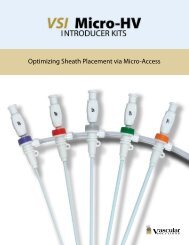 VSI Micro-HV Introducer Kit Brochure - Vascular Solutions, Inc.