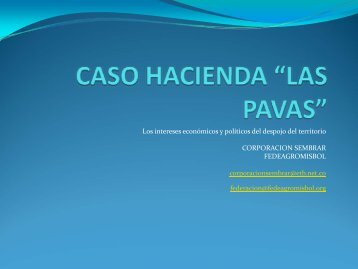 intereses-politicos-y-economicos-del-despojo-las-pavas