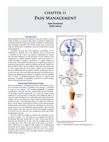 CHAPTER 11 Pain Management - Global HELP