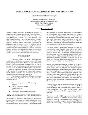 Image Processing Techniques for - Engineering and Computing ...