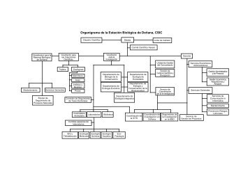Organigrama de la EstaciÃ³n BiolÃ³gica de DoÃ±ana, CSIC