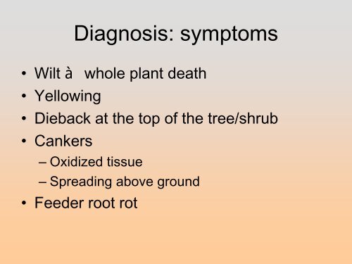 Controlling Root Rots