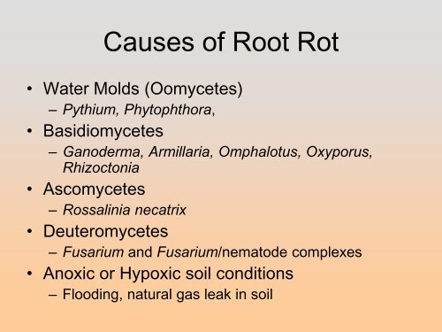 Controlling Root Rots