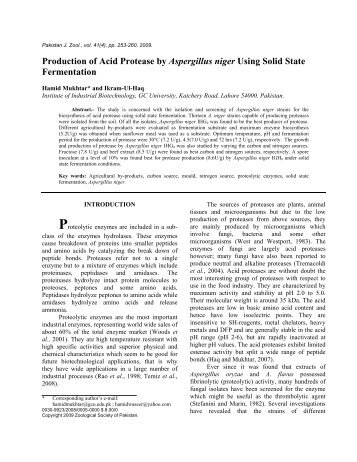 Production of acid protease by Aspergillus niger ... - ResearchGate