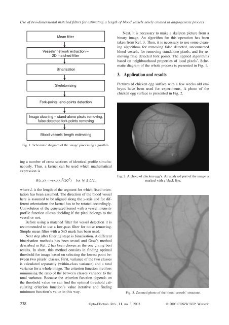 Use of two-dimensional matched filters for estimating a length of ...