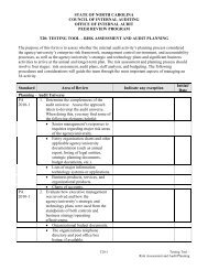 T20: Testing Tool - Risk Assessment and Audit Planning