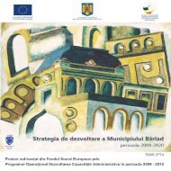 21-strategia de dezvoltare a municipiului barlad 2009-2020.pdf