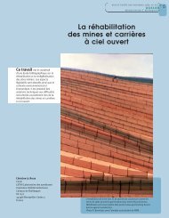 La réhabilitation des mines et carrières à ciel ouvert - Bois et forêts ...