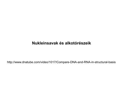 Nukleinsavak - Szerves Kémiai Tanszék