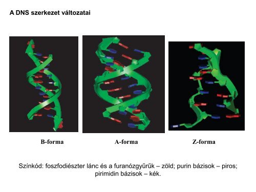 Nukleinsavak - Szerves Kémiai Tanszék