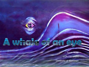 A whale of an eye - University of Wisconsin School of Veterinary ...