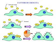 fattori di crescita