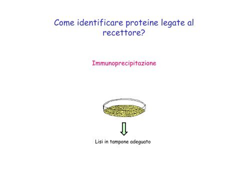 fattori di crescita