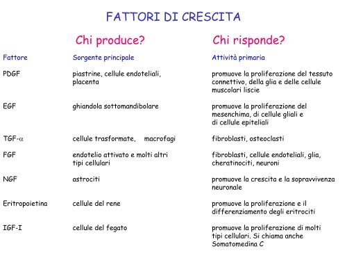 fattori di crescita