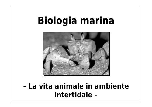 Biologia marina