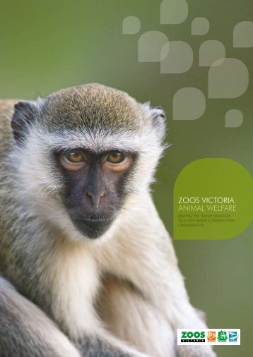Zoos Victoria Animal Welfare Code.pdf
