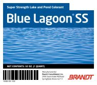 Blue Lagoon SS - Brandt