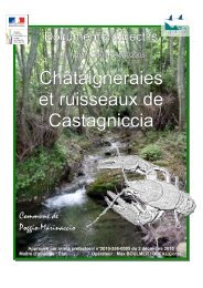 ChÃ¢taigneraies et ruisseaux de Castagniccia - Webissimo