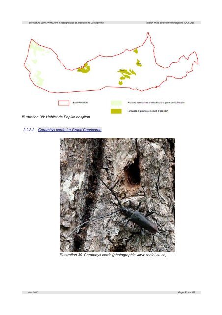 ChÃ¢taigneraies et ruisseaux de Castagniccia - Webissimo