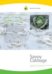 Savoy Cabbage - Product leaflet - Jade - Nickerson-Zwaan