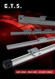 GUIDE LINEARI - LINEAR GUIDES - GLISSIERES LINEARES