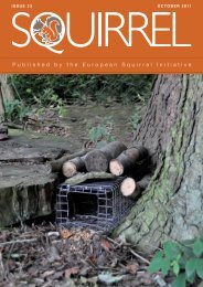 to view - European Squirrel Initiative