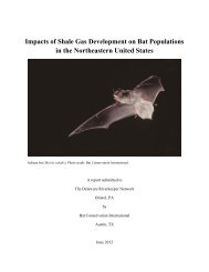 Impacts of Shale Gas Development on Bat Populations - Delaware ...