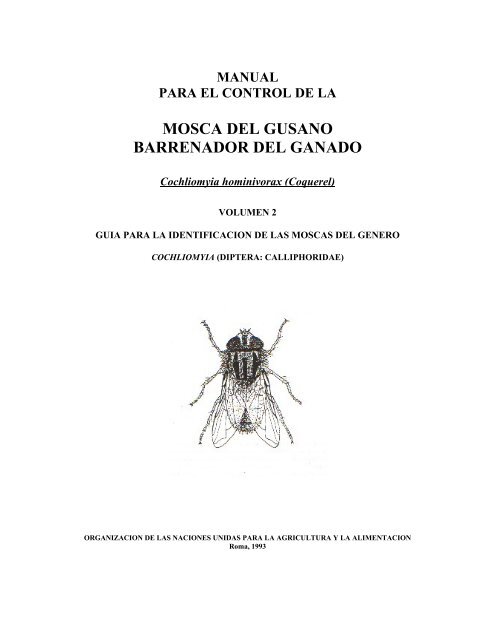 mosca del gusano barrenador del ganado - Oficina Regional de la ...