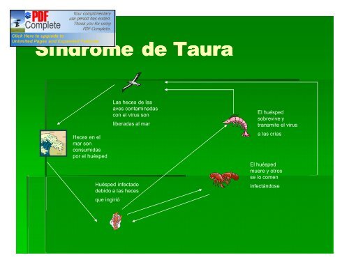 ANALISIS DE RIESGO EN SANIDAD ACUICOLA - Inapesca